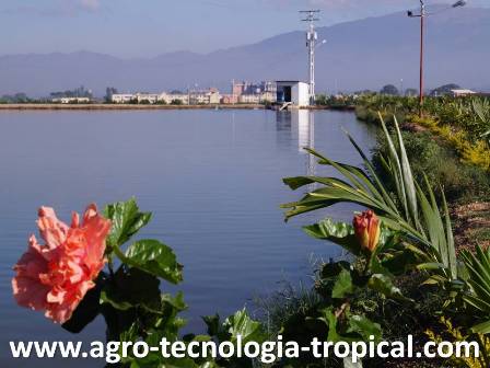 En las lagunas se almacena agua